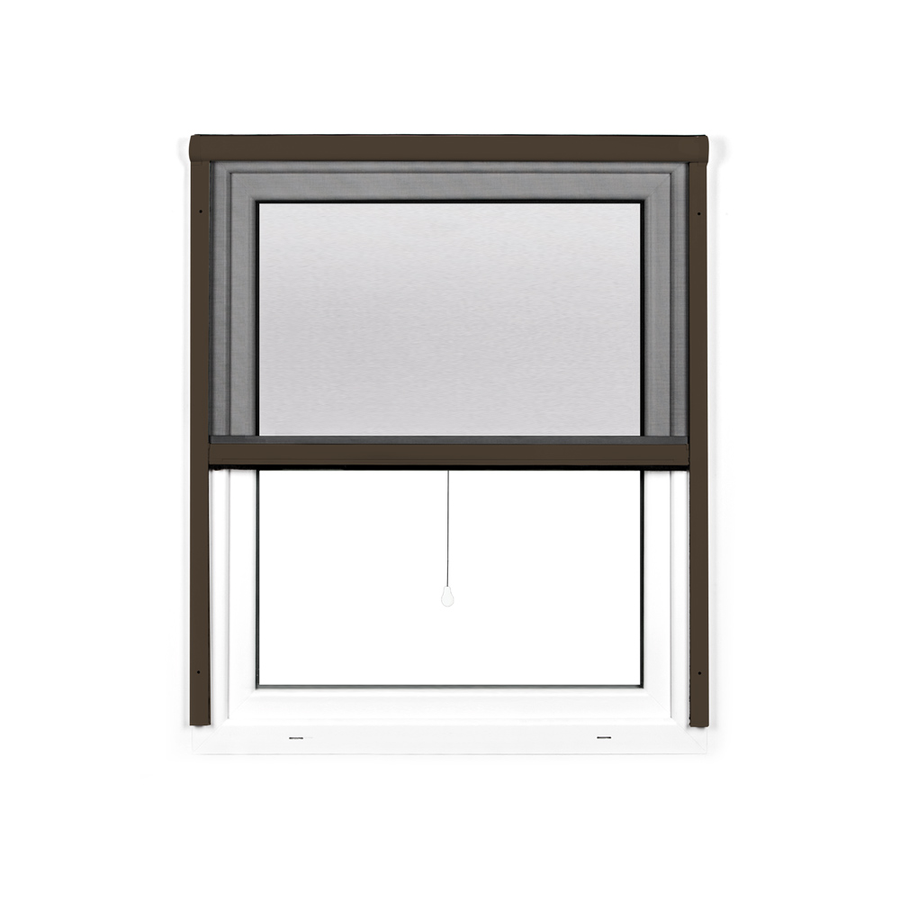 slider_image_019a8663256b704b82c1deb0f11bcdc4