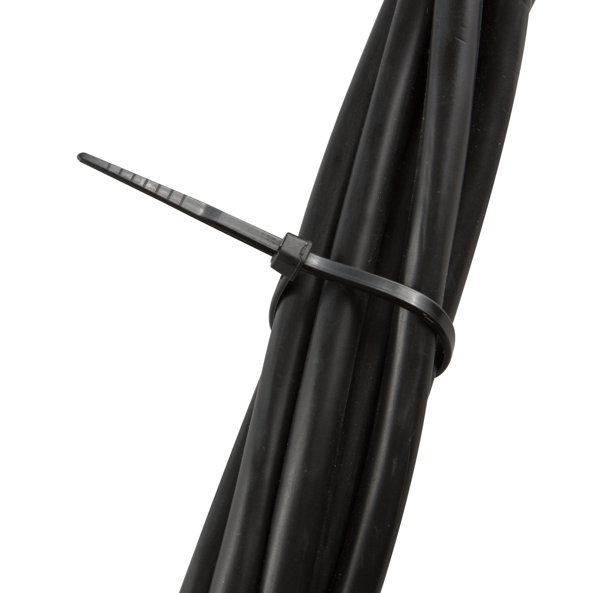 slider_image_019a86ad112b7206b5e091a7b69417cf