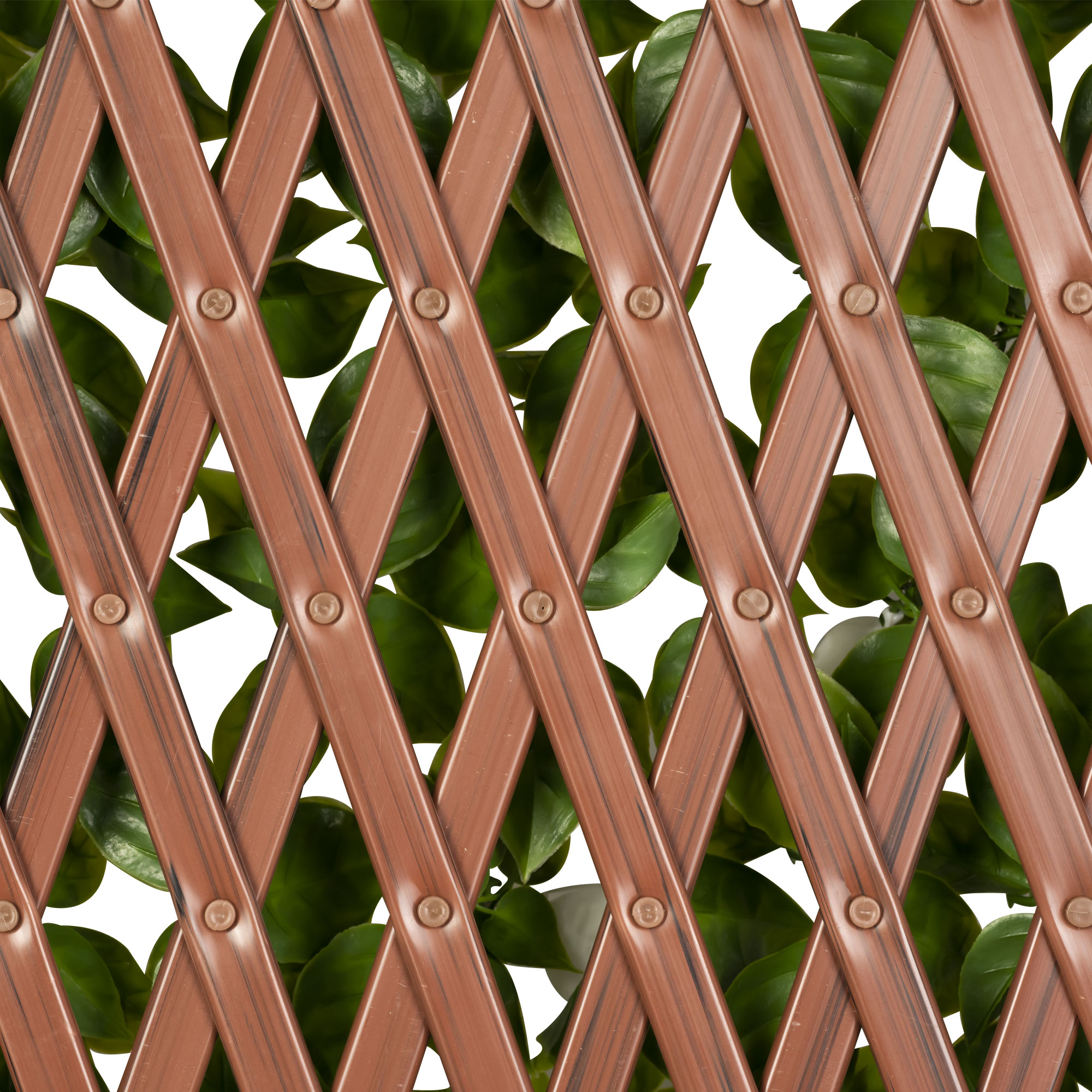 slider_image_019a826e62e372068a5301b25b12bba1