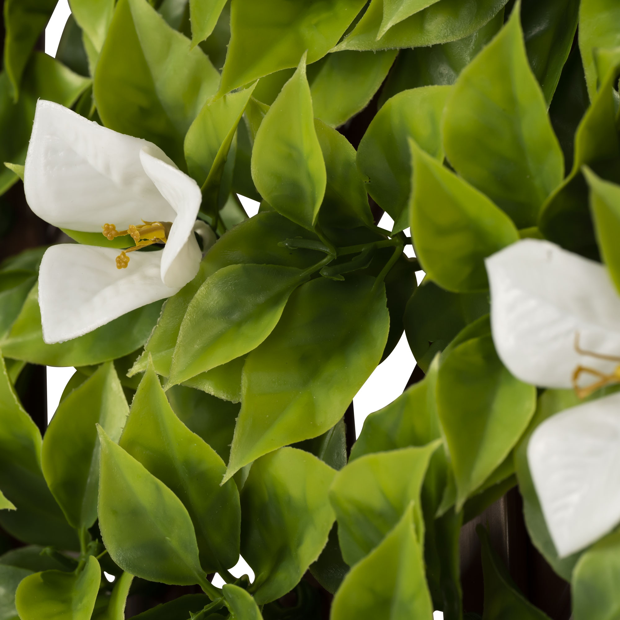 slider_image_019a826e3fa370d699425c4614be71d0