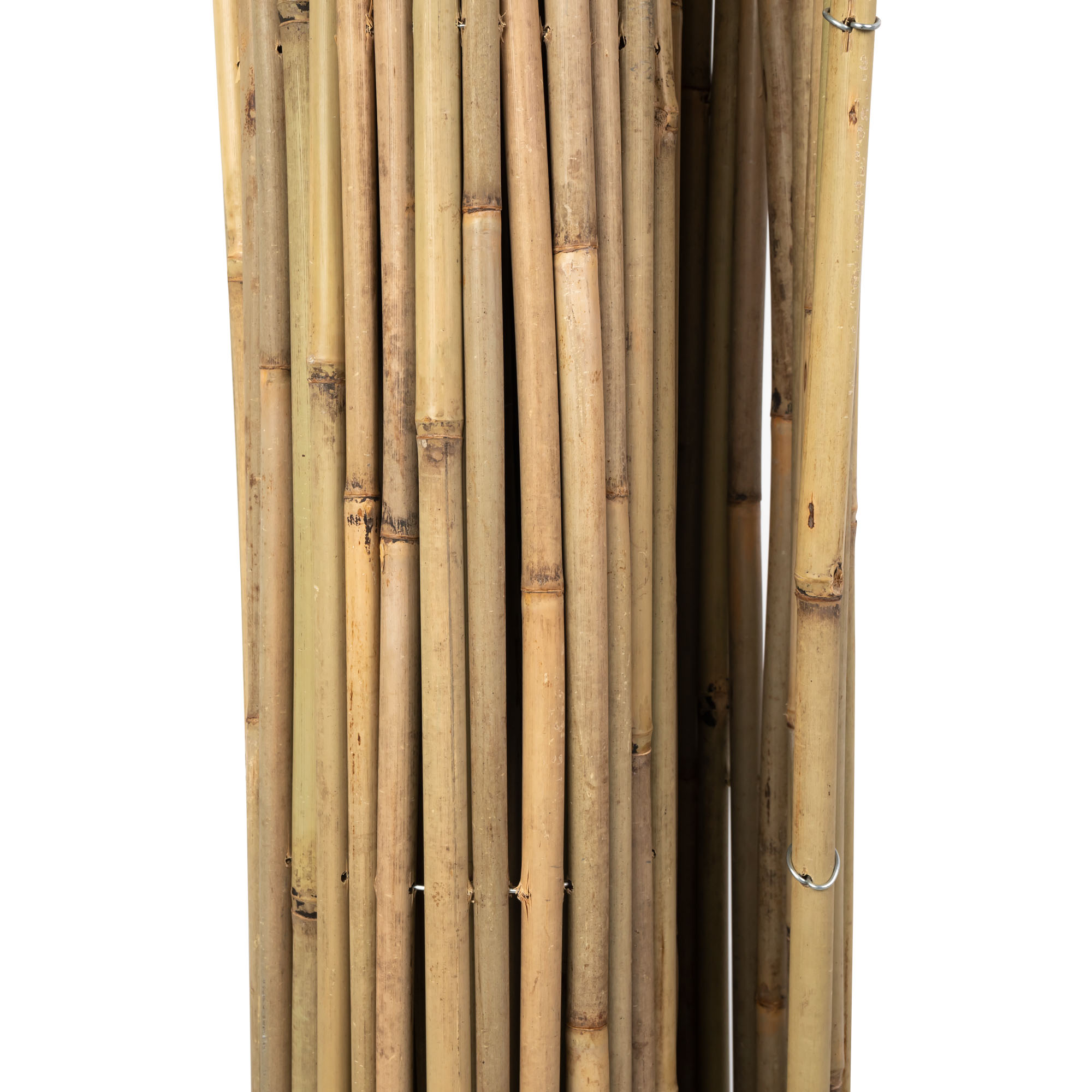 slider_image_019a826ffccc73f89606e5f02bfd7926