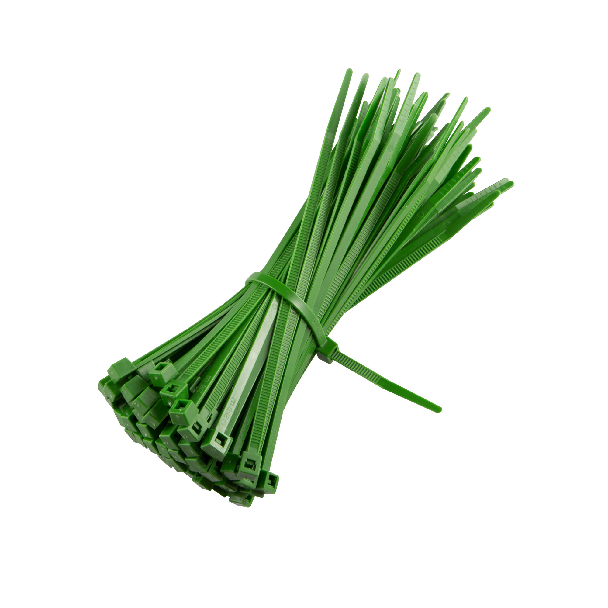 slider_image_019a86acdd1f731289b281f20ee4c896