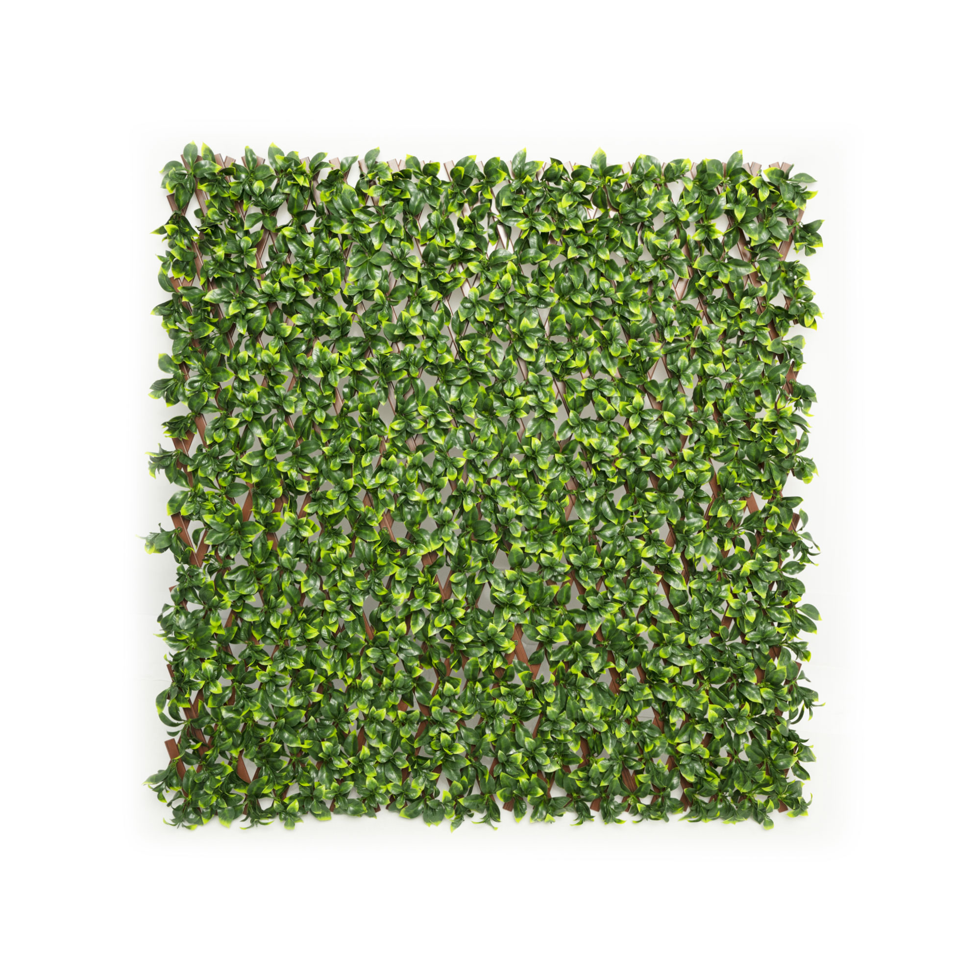 Muro Vegetal Artificial | Hojas de gardenia, 200 x 100 cm