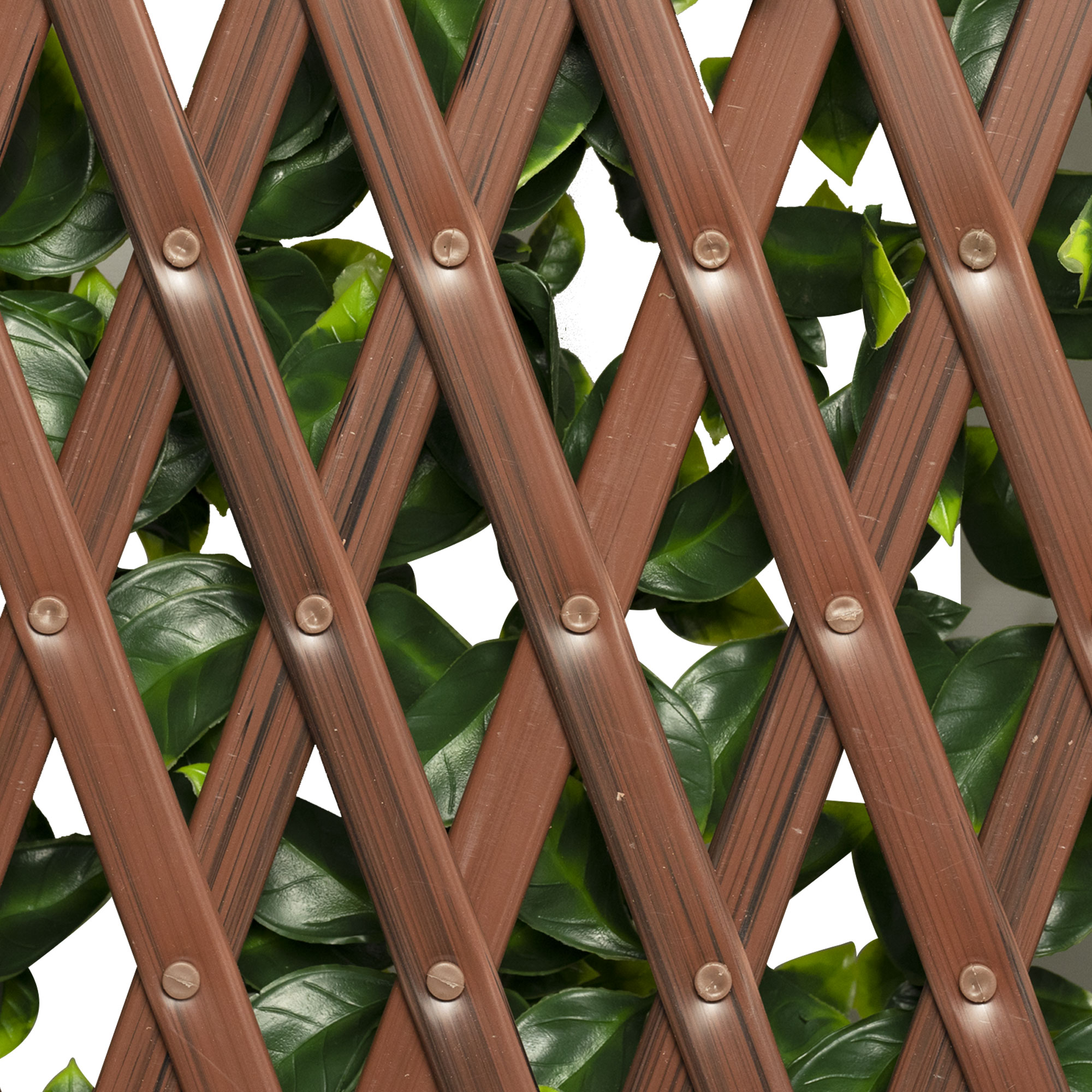 slider_image_019a826e297470b99e4bf12d25e524ef