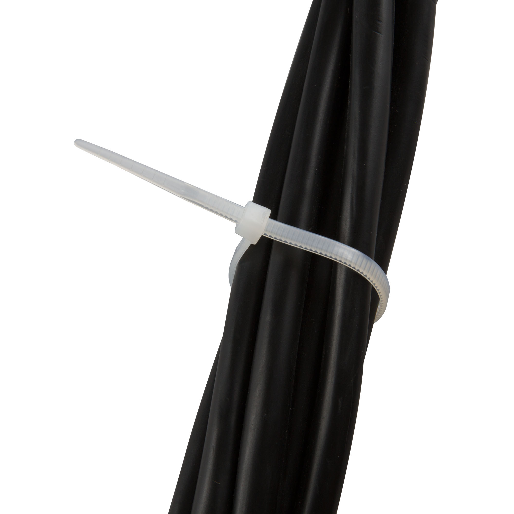 slider_image_019a86ac5da570ac9ca632d2431cc09a