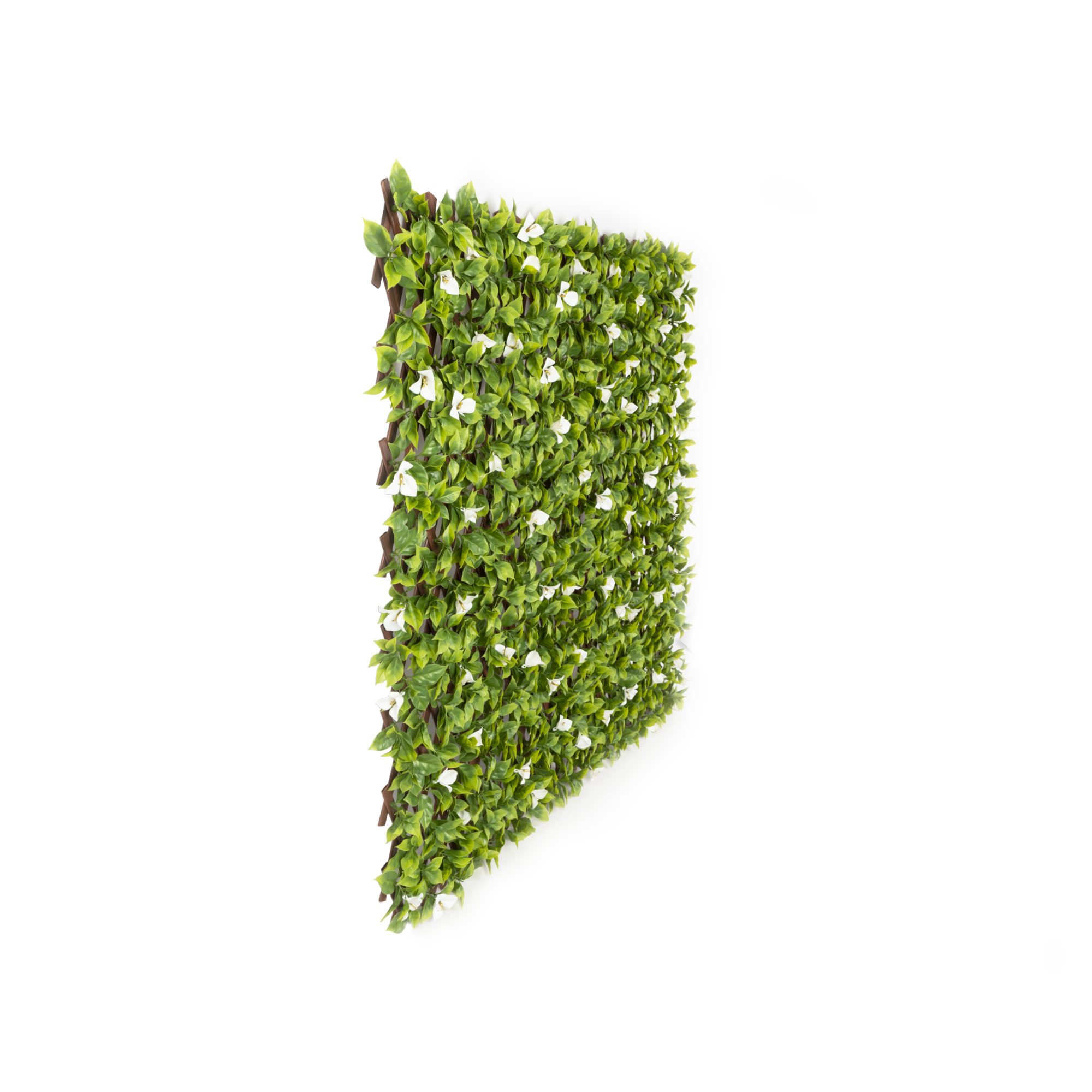 slider_image_019a826e90ac71539161a9c15afa07aa