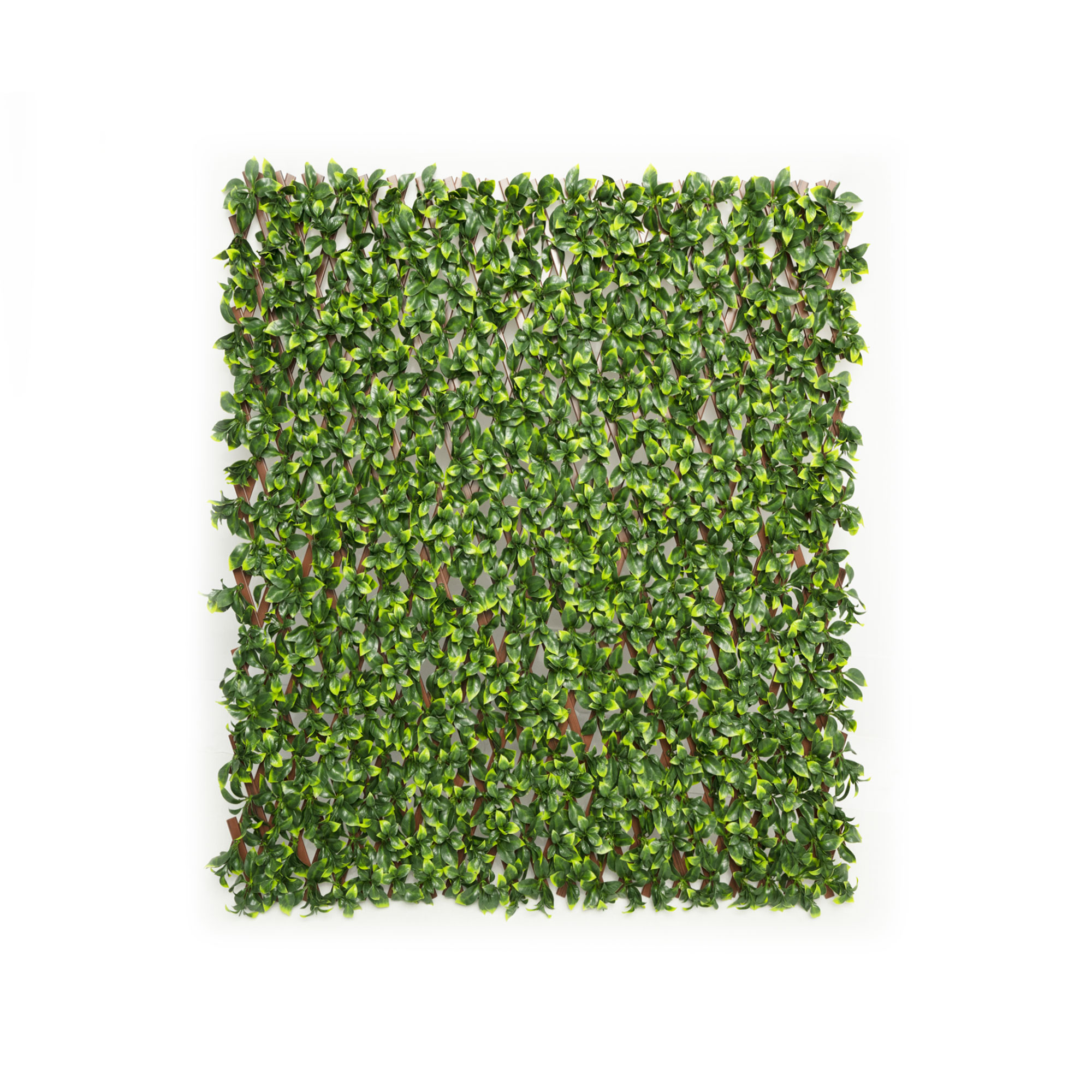 slider_image_019a826e210e73cfa1ce314aa6e282cf