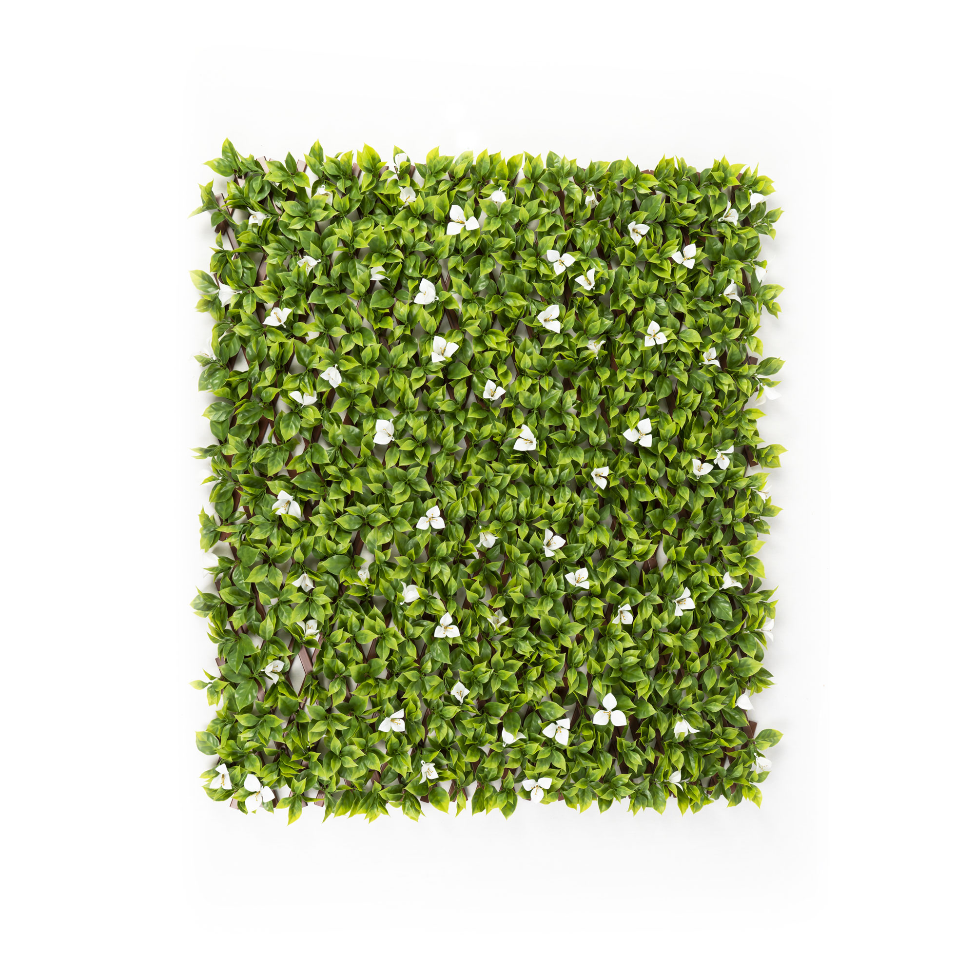 slider_image_019a826e52c4730cb04fc78bfc68c8c0