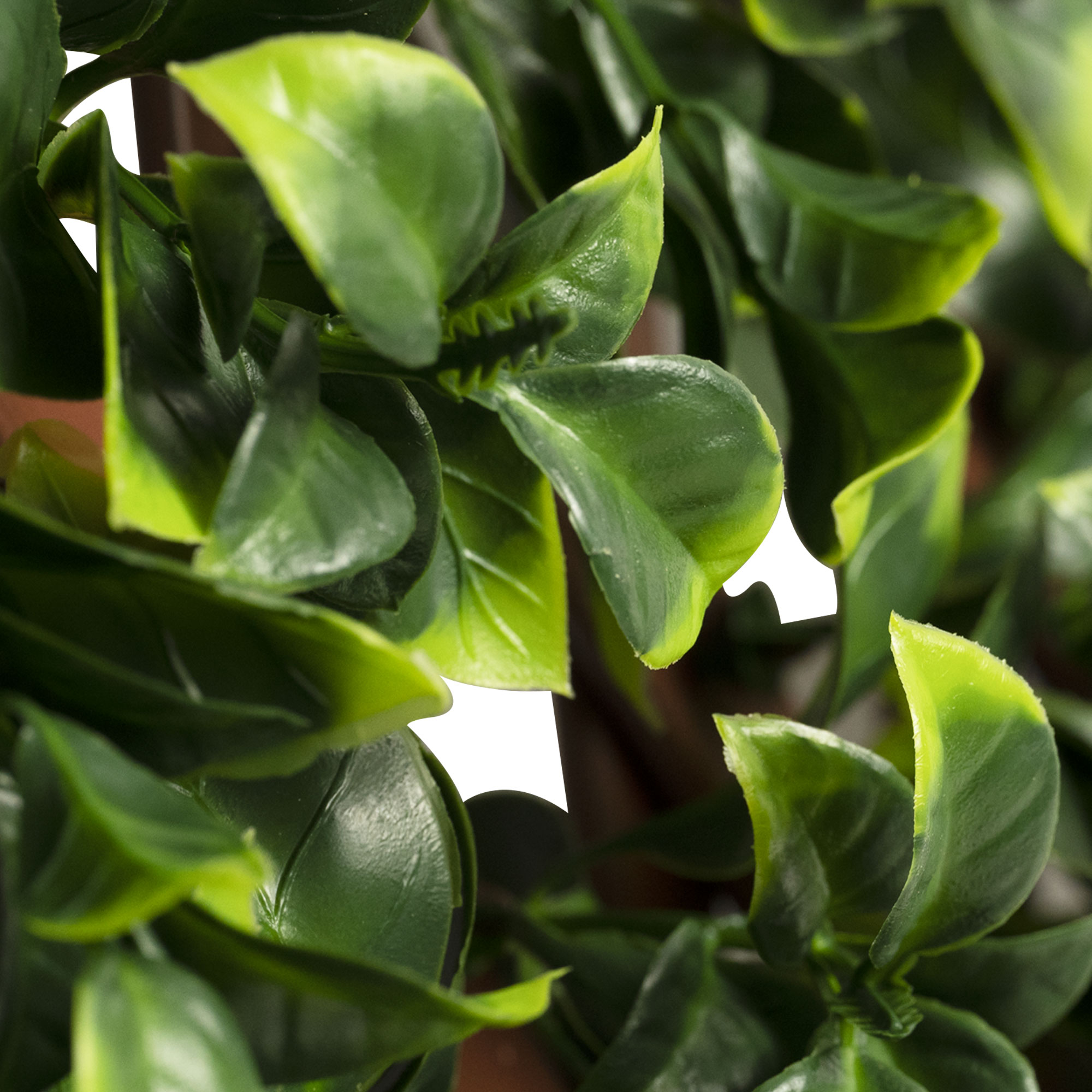 slider_image_019a826e194d7025af875279750e8e42