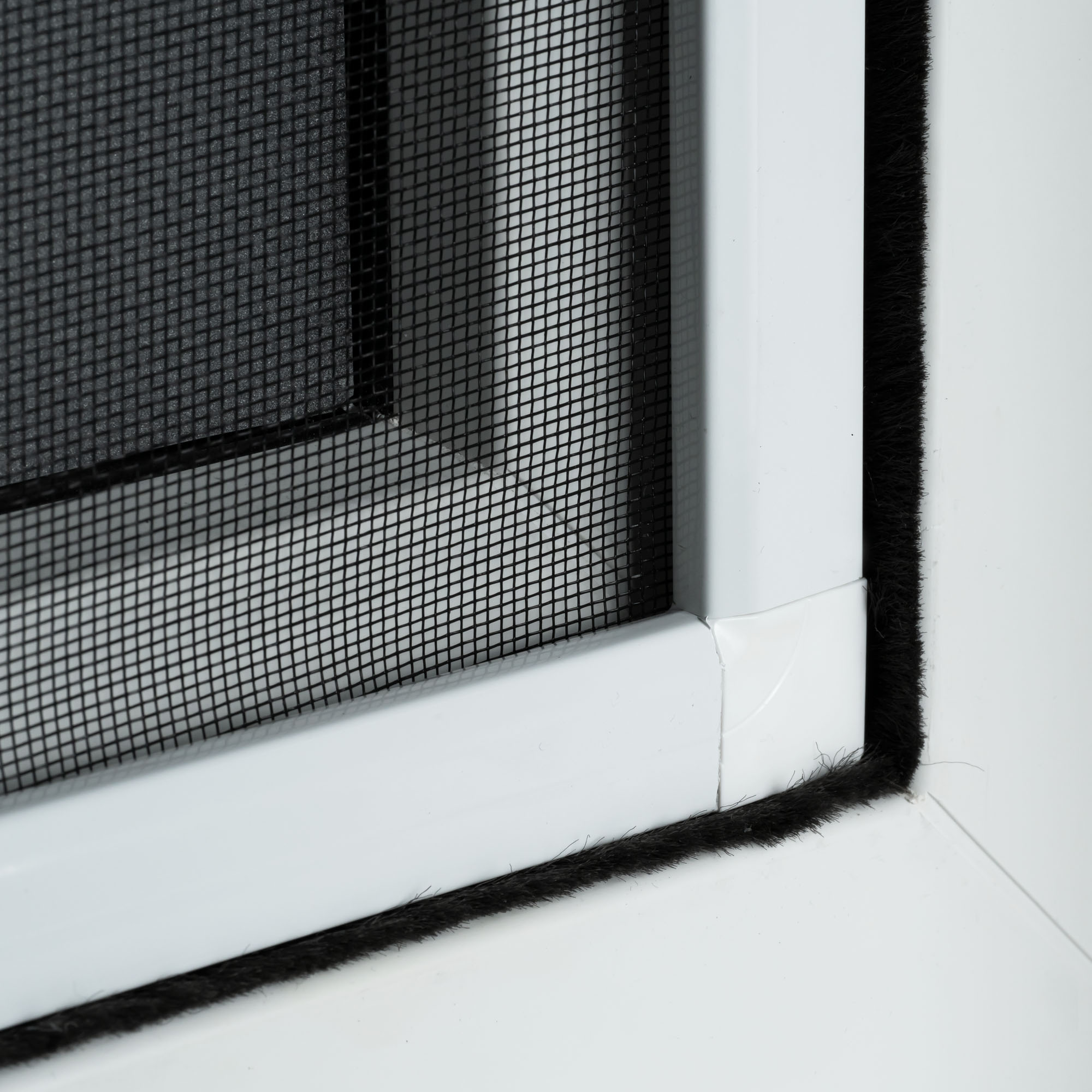 slider_image_019a85d8a3907101b145fab1a99f872f