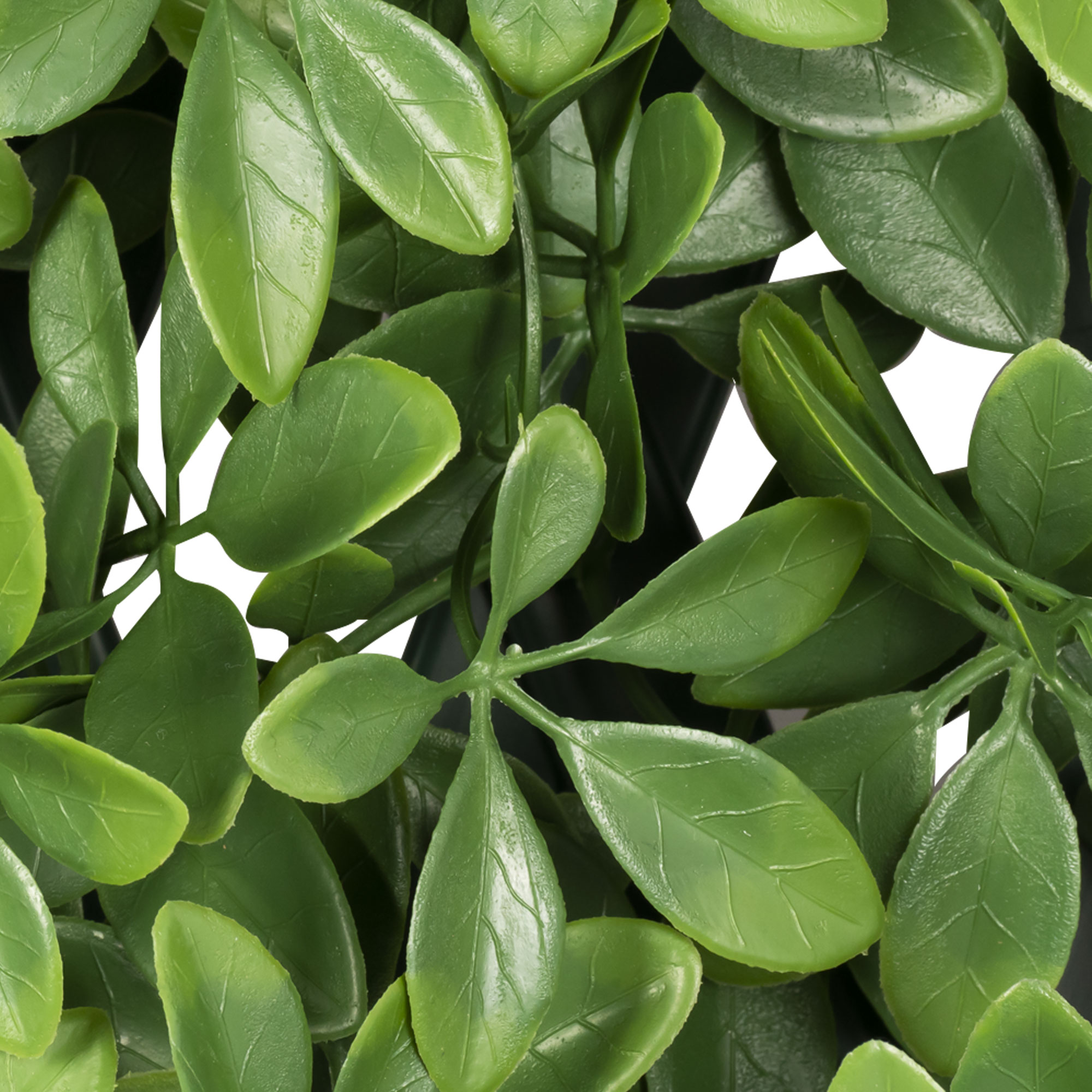 slider_image_019a826eb4bf72b3bbe6b0222472275d