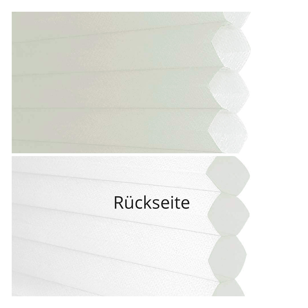 Muestra de tejido para cortina plisada a medida | 65001 beige / traslúcido / Cassa