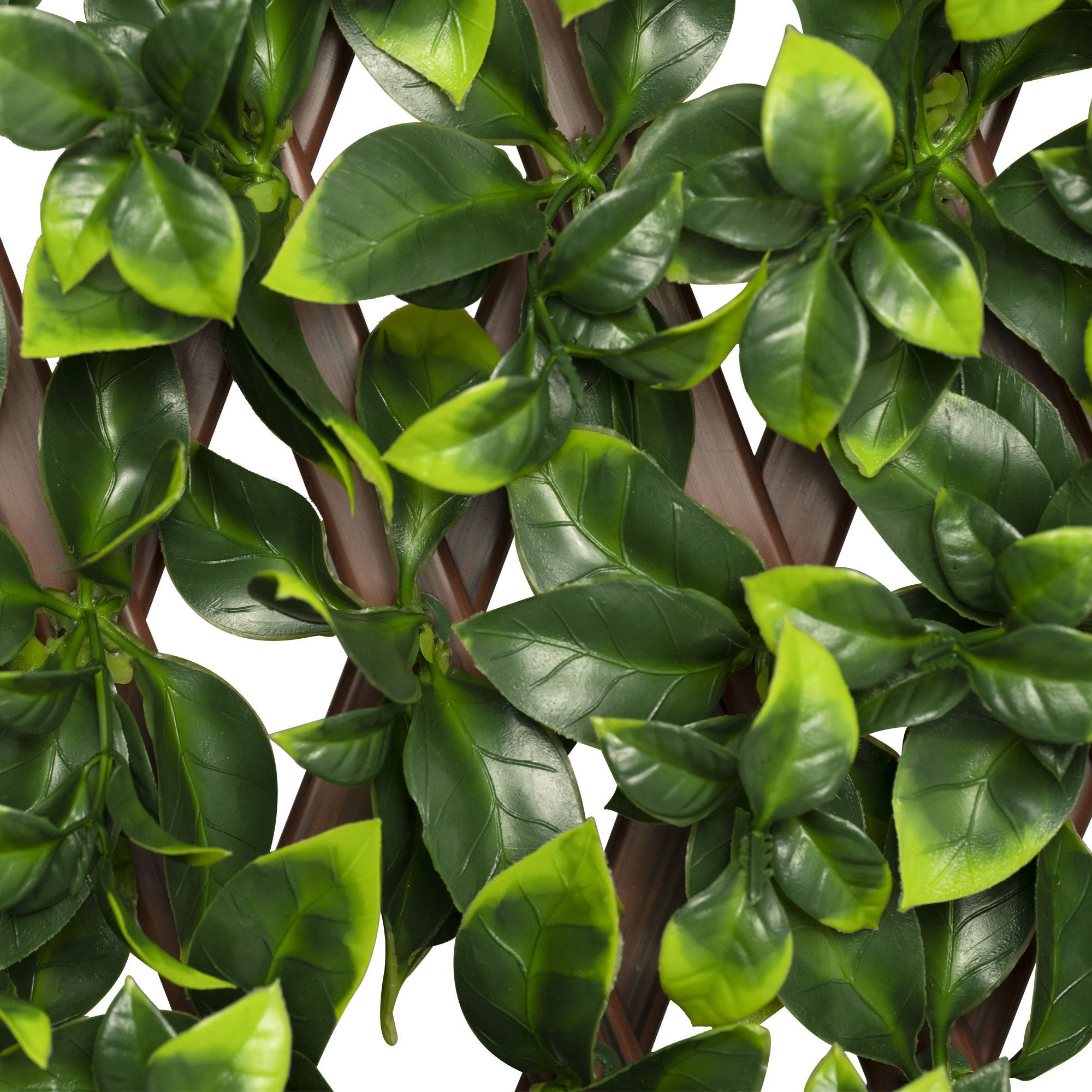 slider_image_019a826df09d7285b2ef1de394b8da42