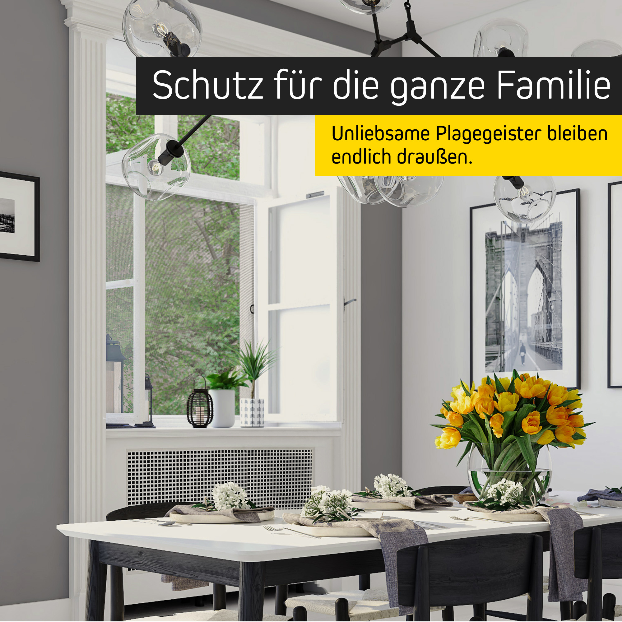 slider_image_019a865e0cdf72459a8fd34499832299