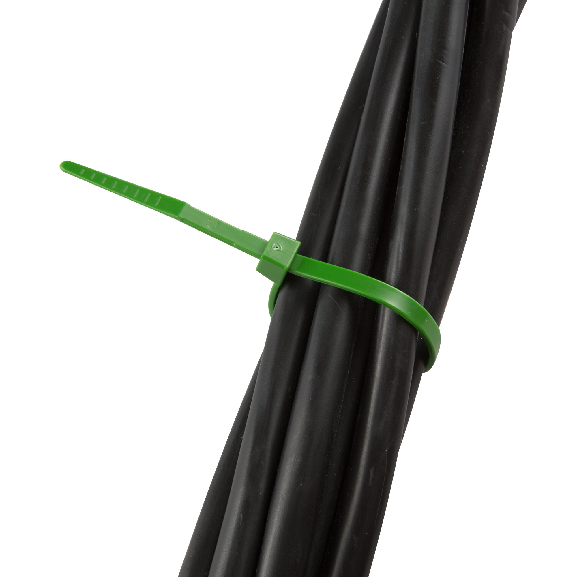 slider_image_019a86acd5c570709f428ec4ff796ab3