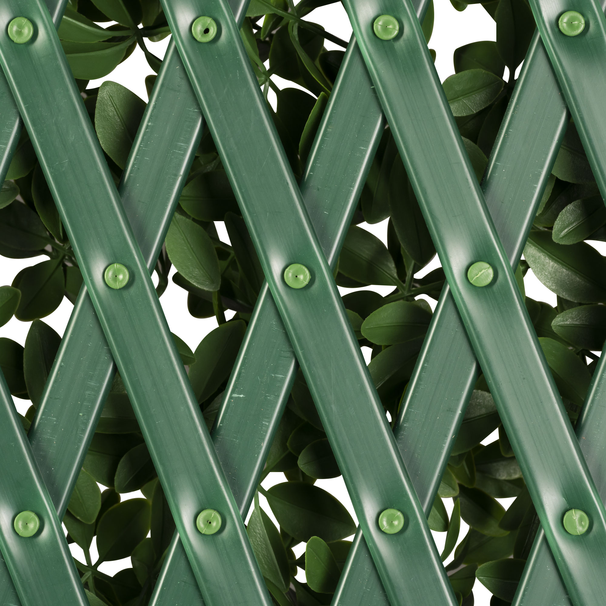 slider_image_019a826ed33673c0bfd97c0af028b0c9