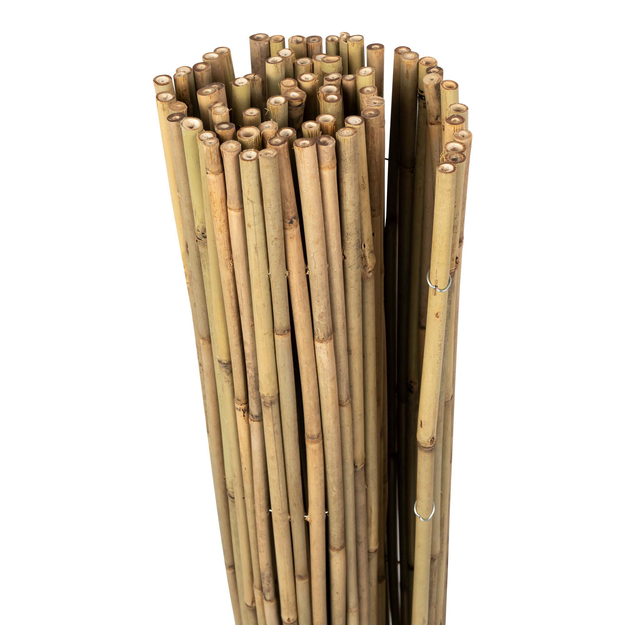 slider_image_019a82700d2e72eb86ffa40165bceee5