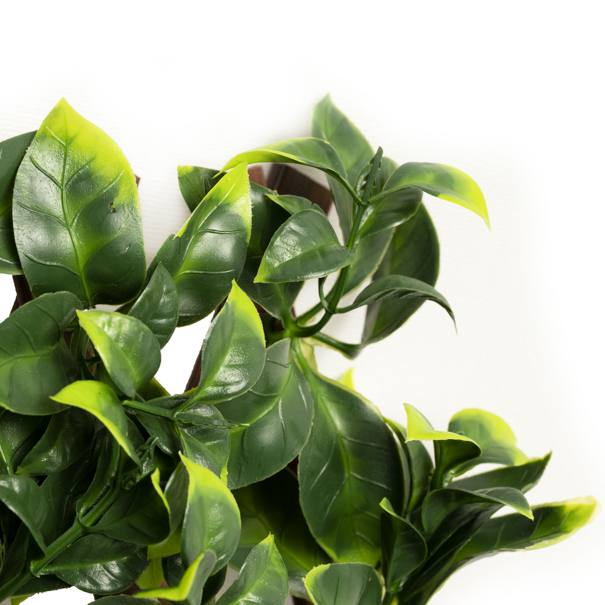 slider_image_019a826e00817130abdfffcf95d1d629