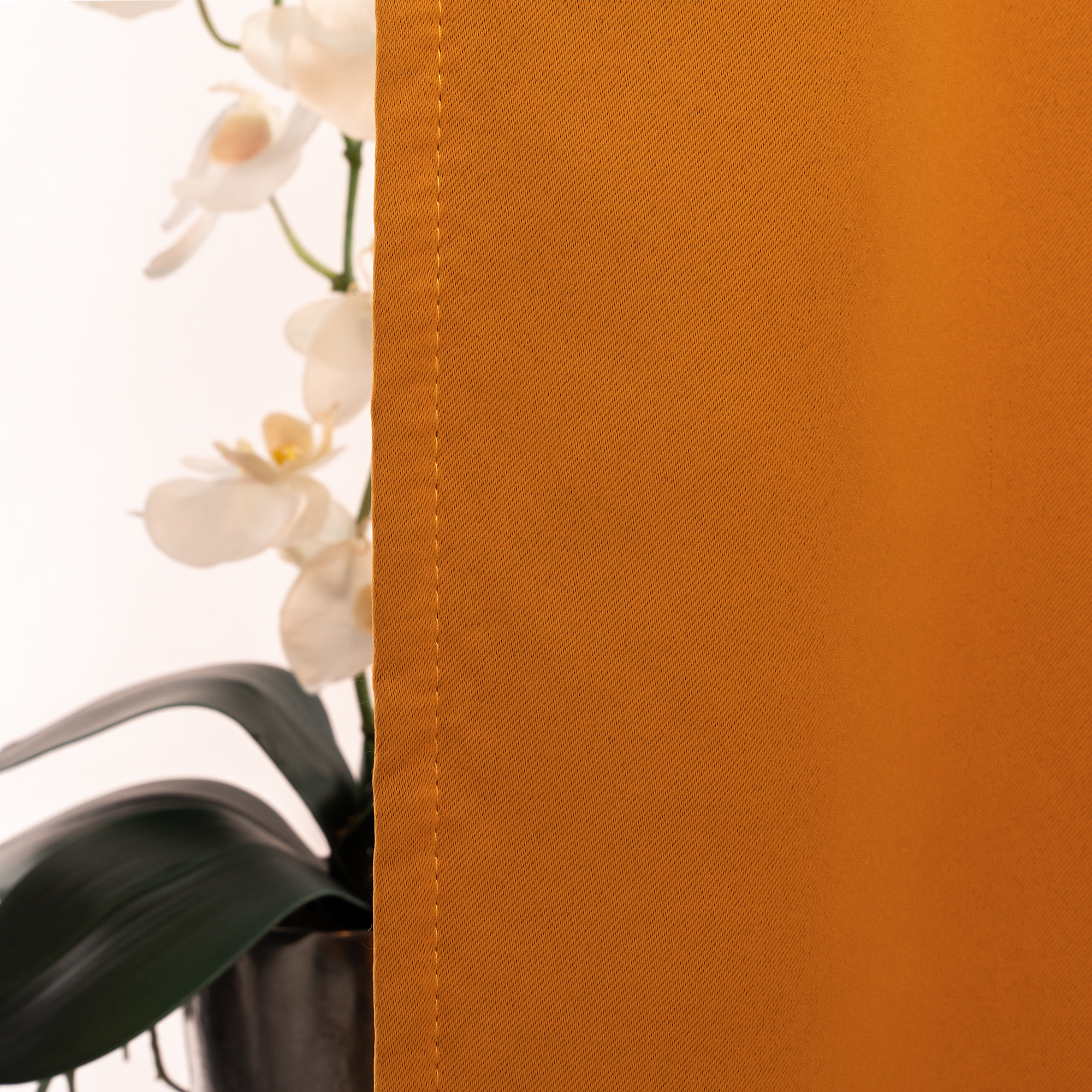 slider_image_019a82ffa05a71809d9023551a28c4b3