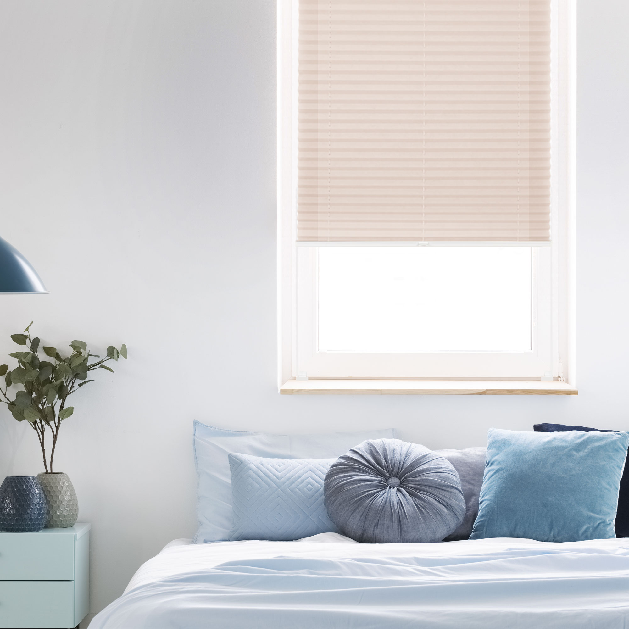 slider_image_019a8699501f73bbacfba1008a7f7527