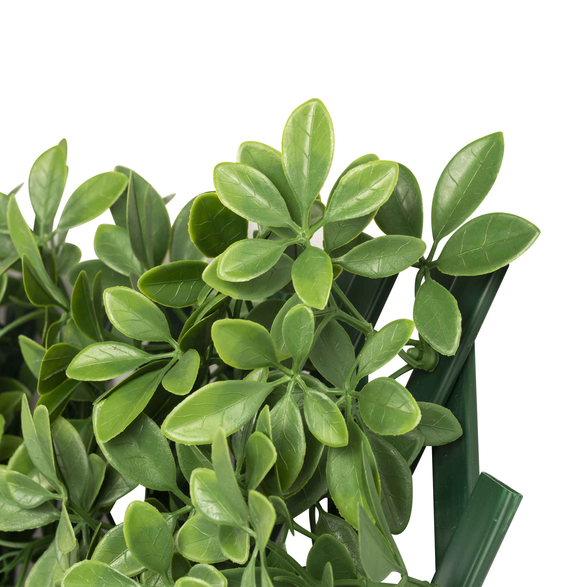 slider_image_019a826eac1d717f95fb00e24a053e3b