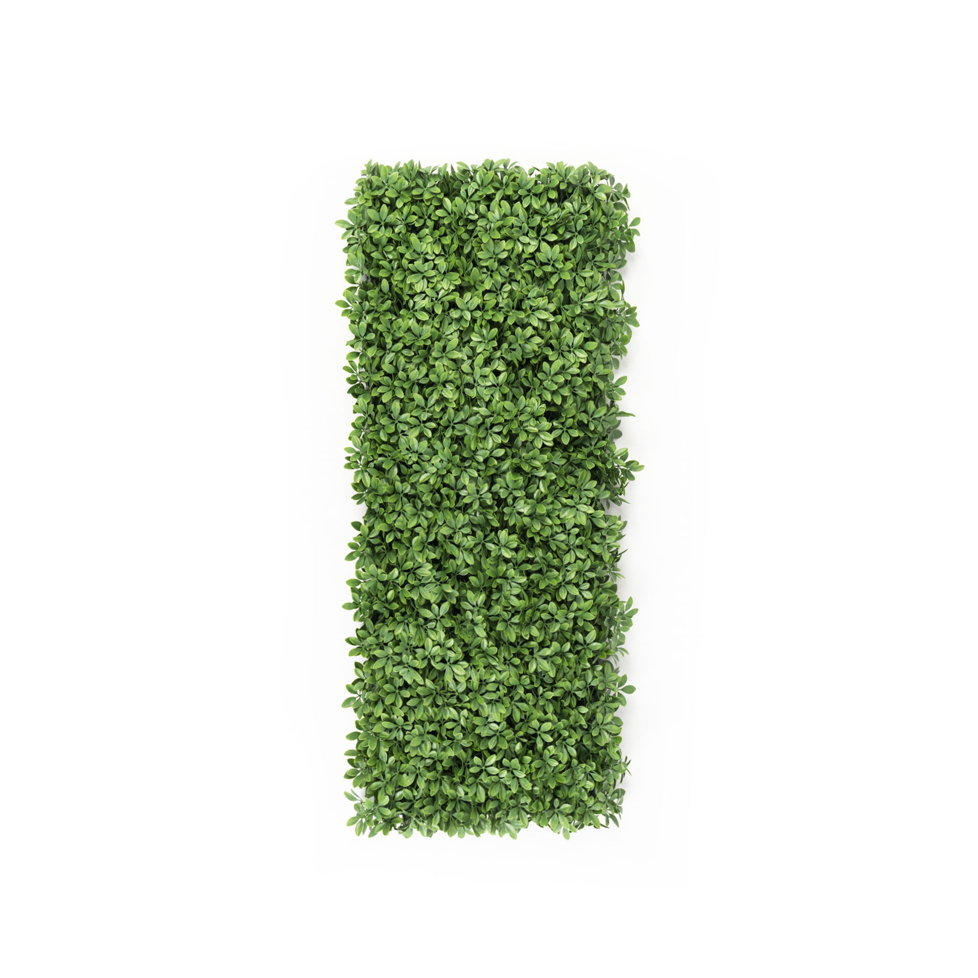 slider_image_019a826ea4b6736cb9e5ef58ed5505ca