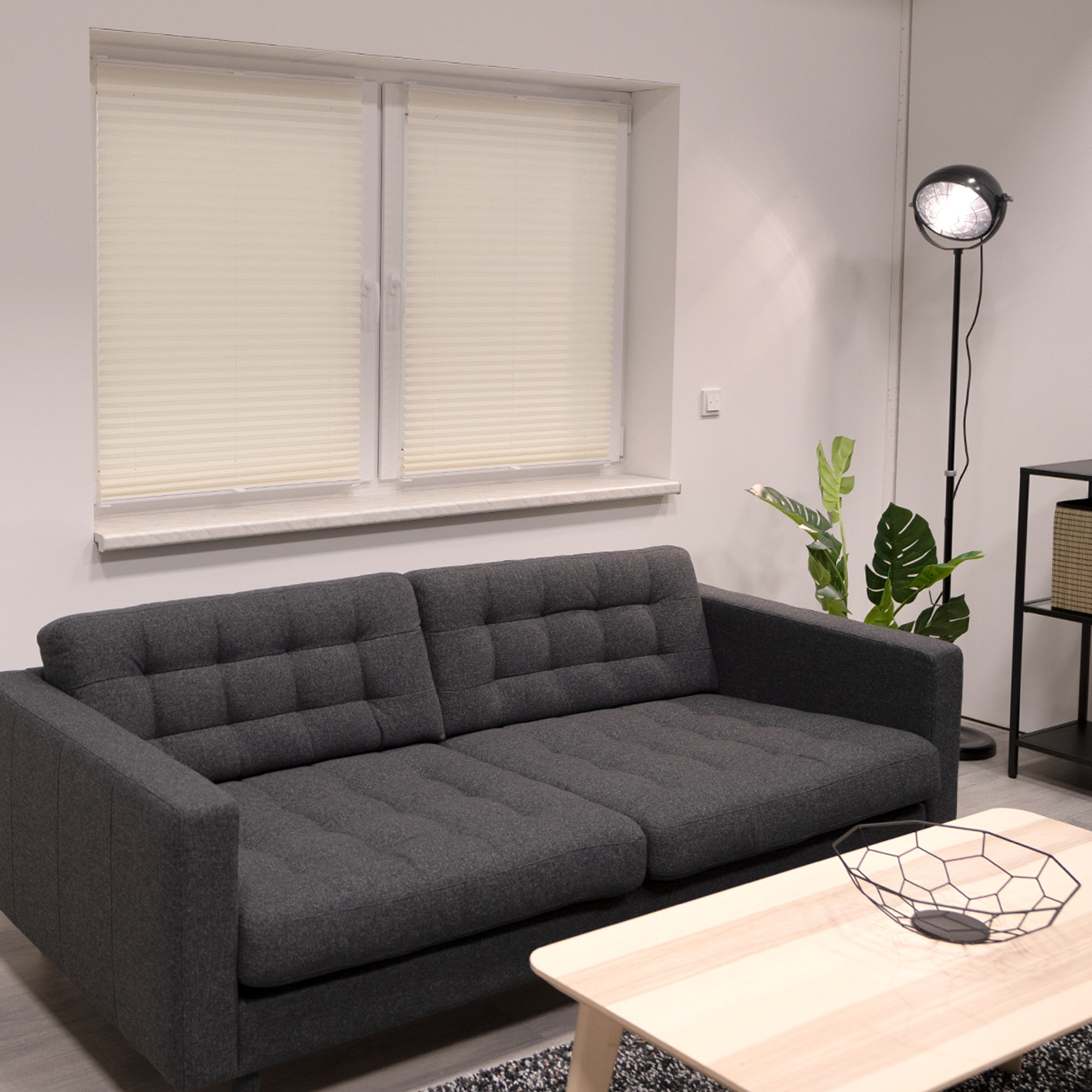 slider_image_019a8699574e717ba8290d355e9287a6