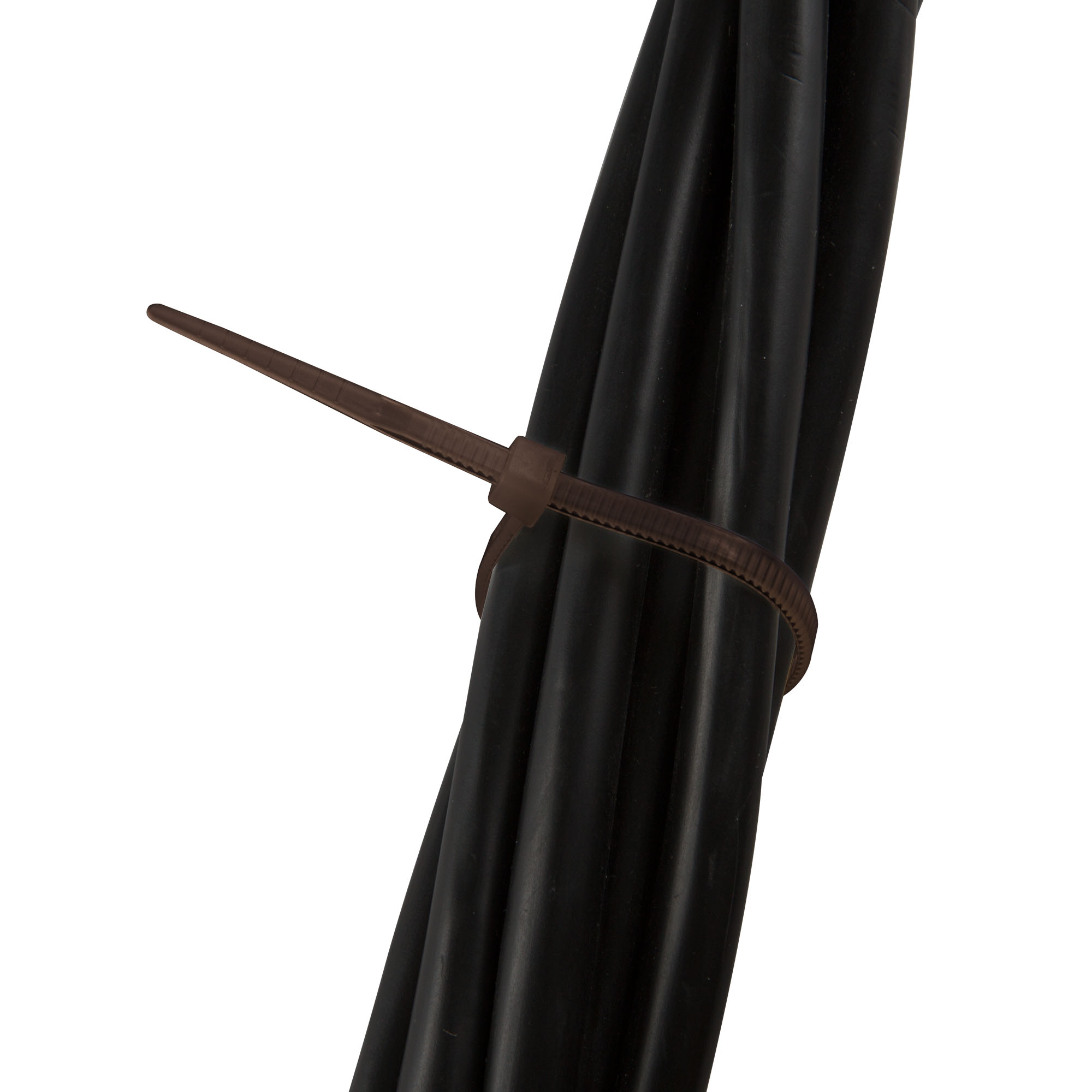 slider_image_019a86ac981c711383229594a21b2f76