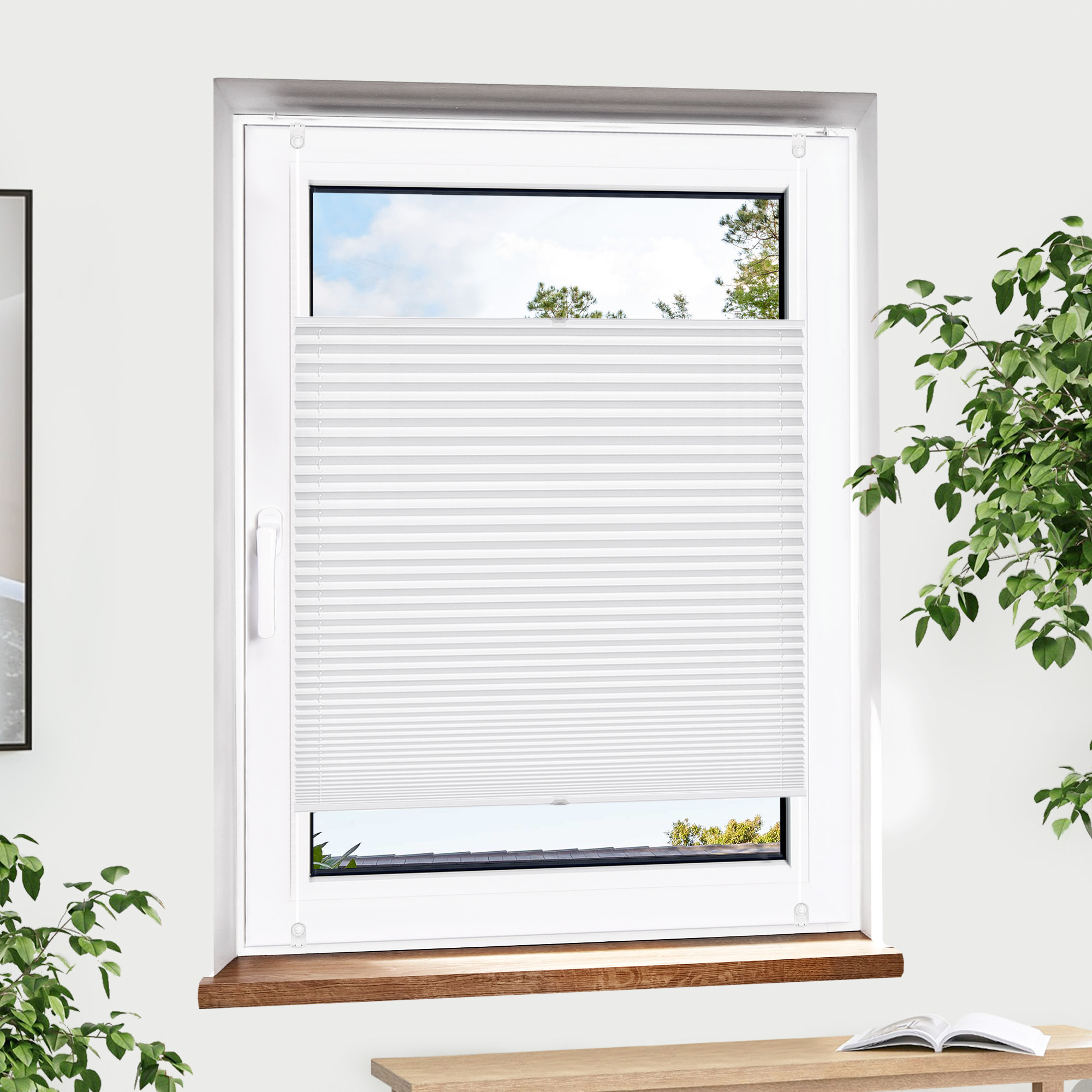 slider_image_019a841e41ef7343ae742391a9779a8d