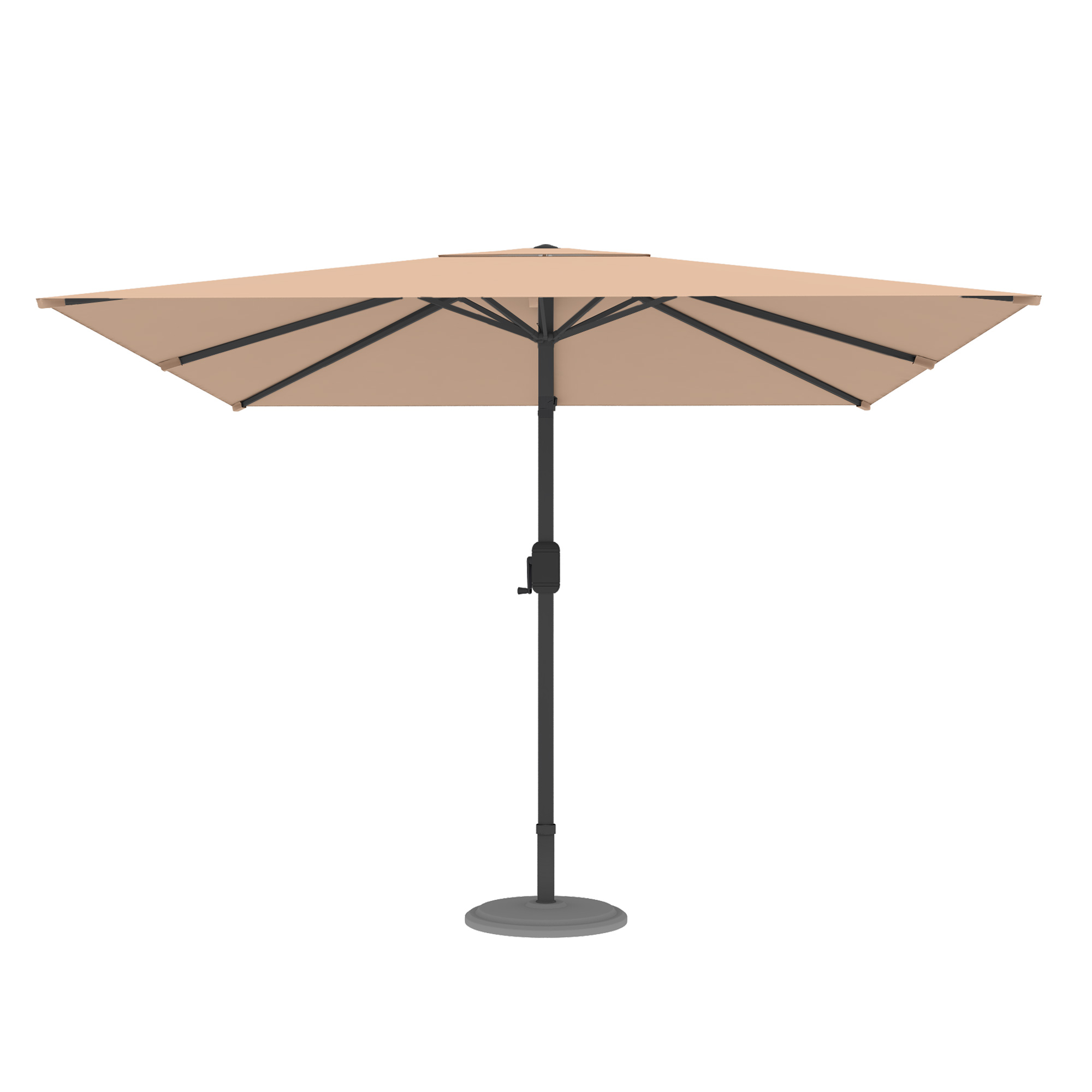 slider_image_019a81b89340723393192a209292879c