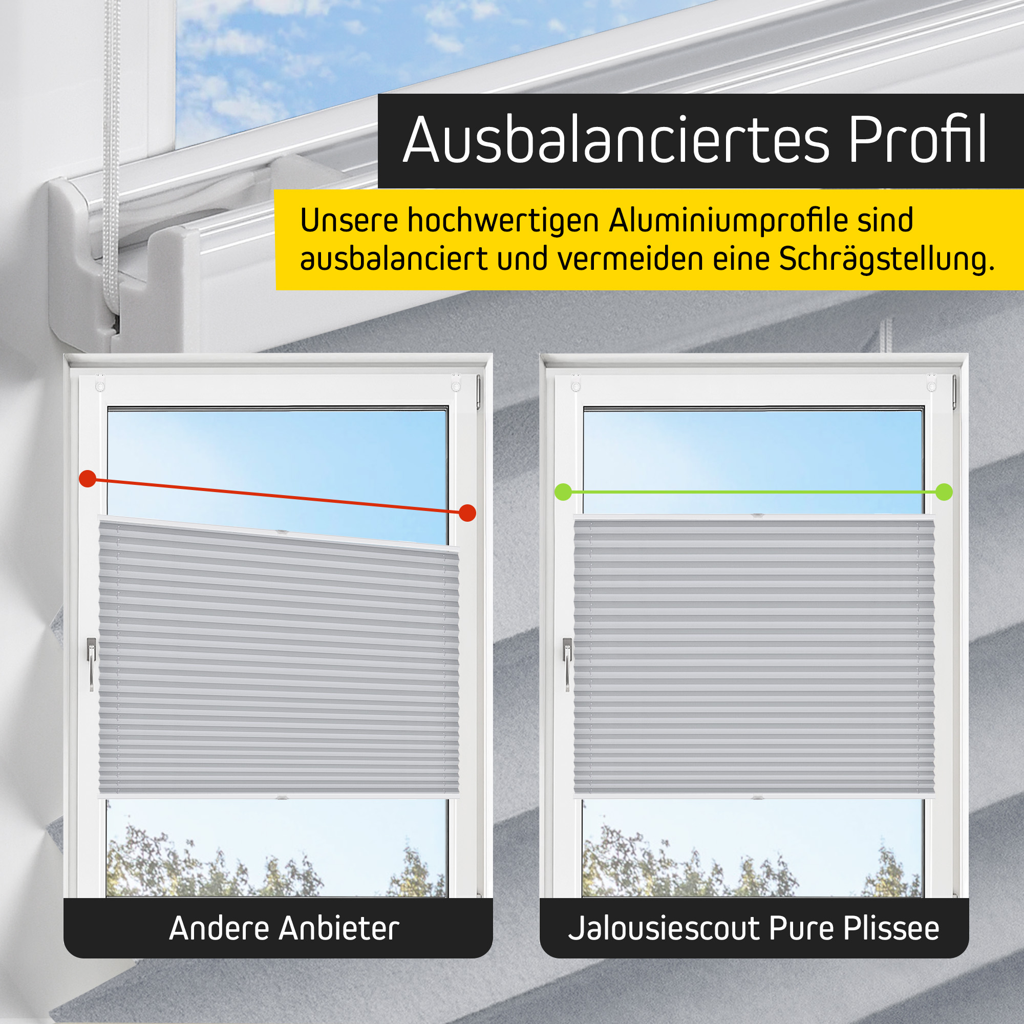 slider_image_019a8303b6d7712fba7776b2fa6b7af3