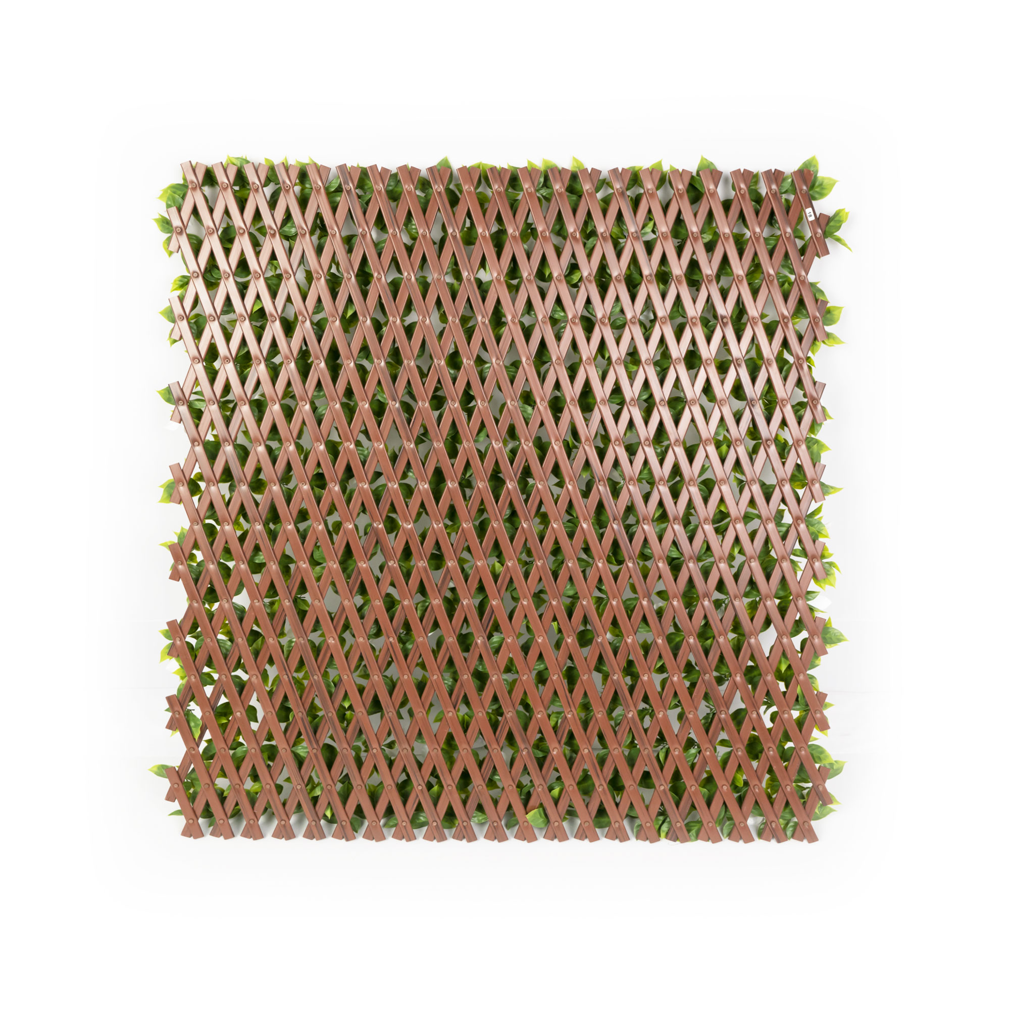 slider_image_019a826e481a7043aaba3eace8df5e60