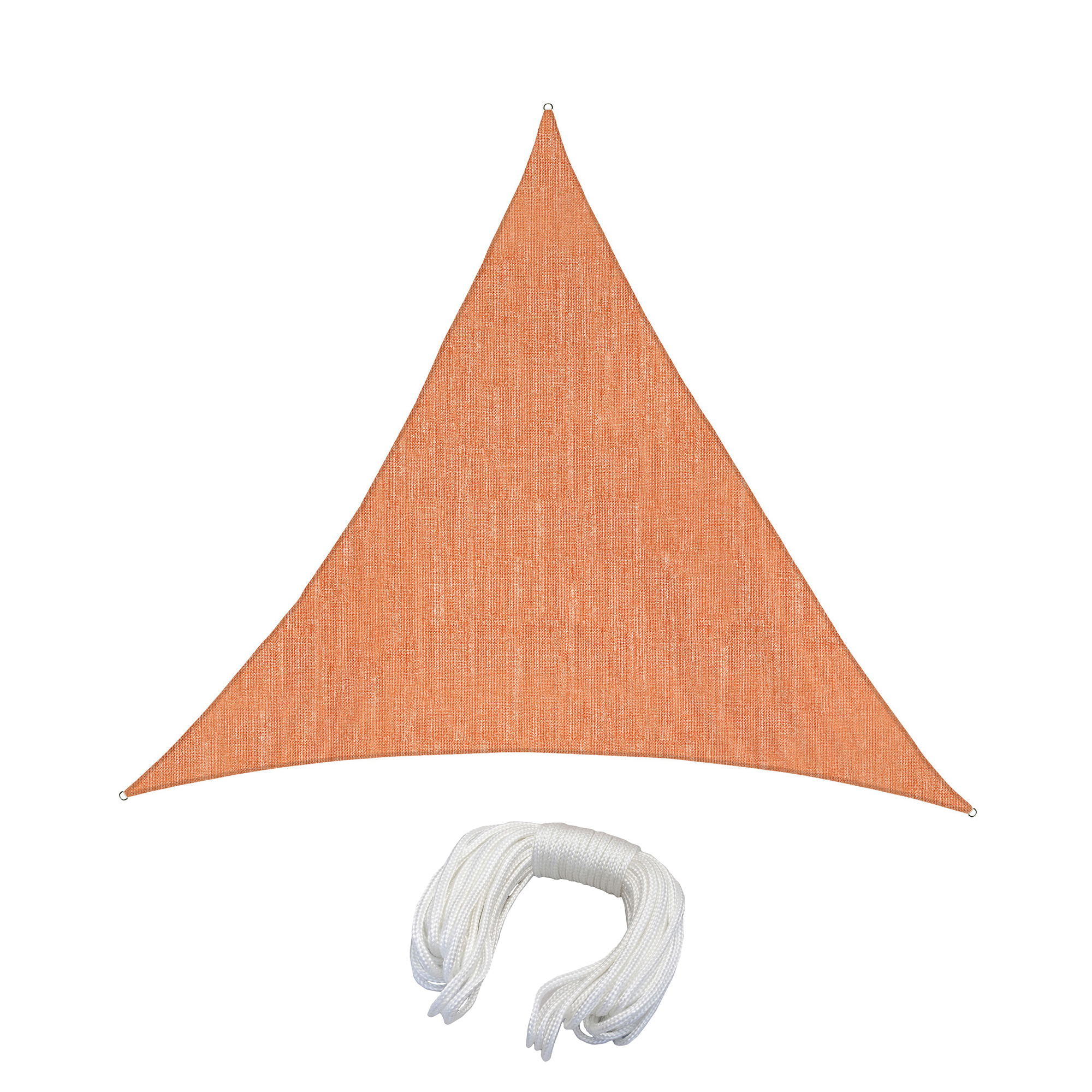 slider_image_019a81e7582e716197b512d742098f5f