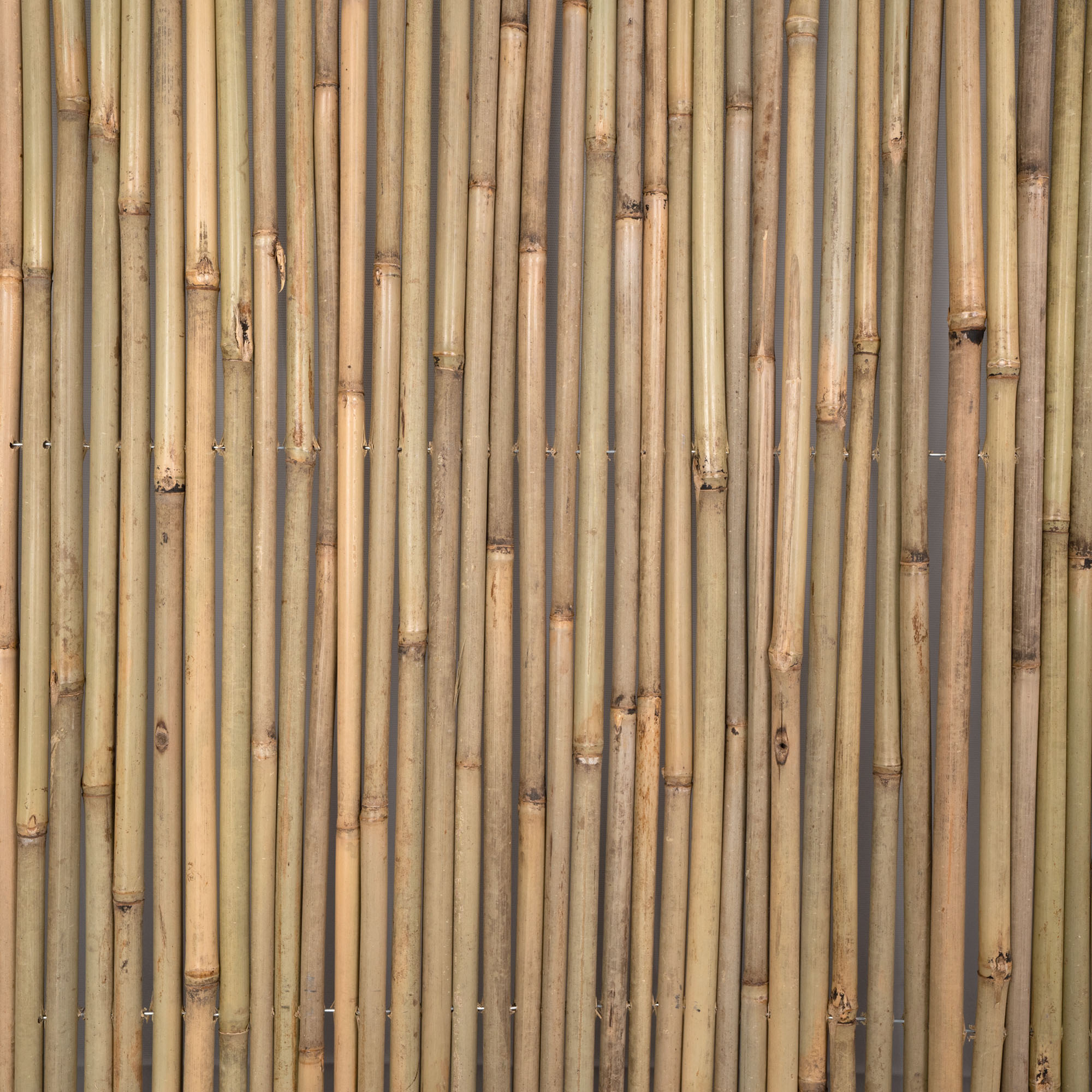 slider_image_019a826ff4ae7057806b3172727a1514