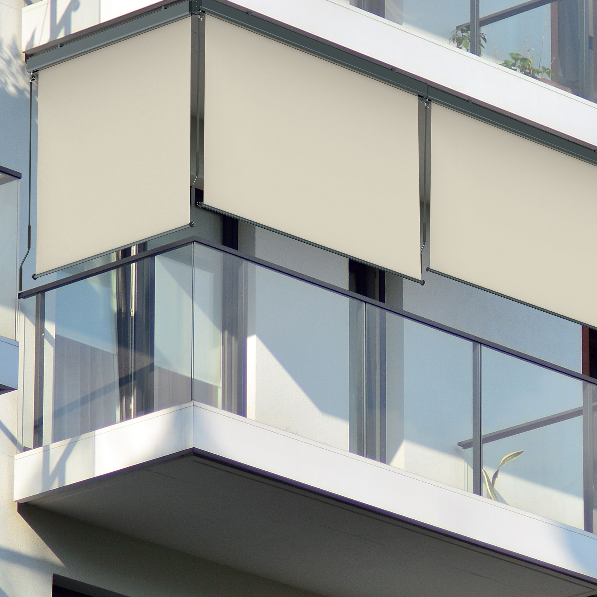 Toldo Vertical 2000 con Cajón & Manivela | 1,2 x 2,5 m, antracita/beige